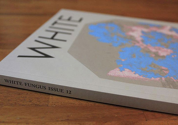 White Fungus selected for MOMA's Millennium Magazines